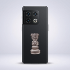 OnePlus 10 Pro 5G Compatible Satyamev Jayate 3D Metal Emblem Sticker