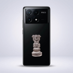 POCO X6 Pro 5G Compatible Satyamev Jayate 3D Metal Emblem Sticker